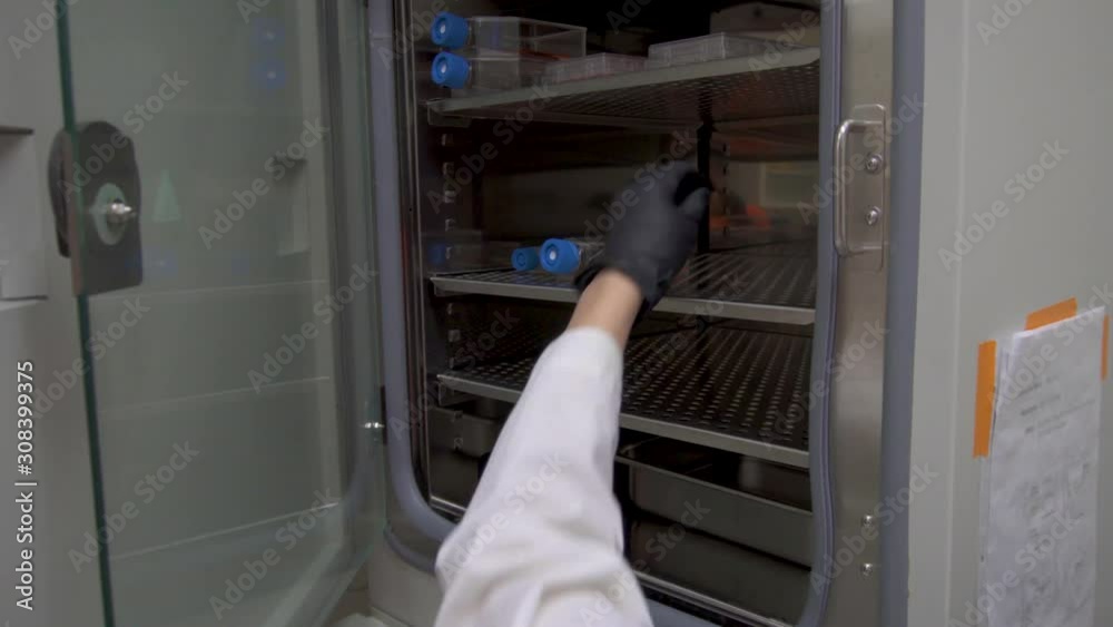 opening the door to and incubator in a lab and reaching in.