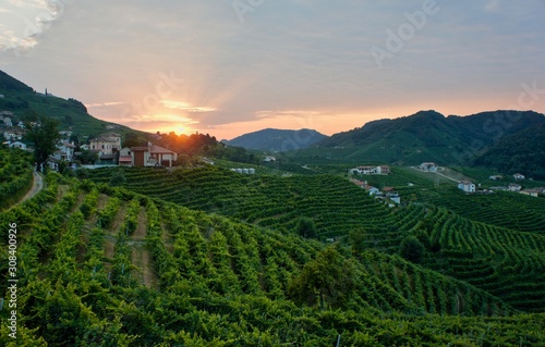 Sunrise in prosecco vineyards