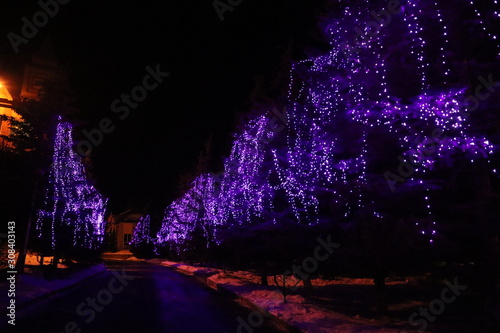 christmas tree in the city