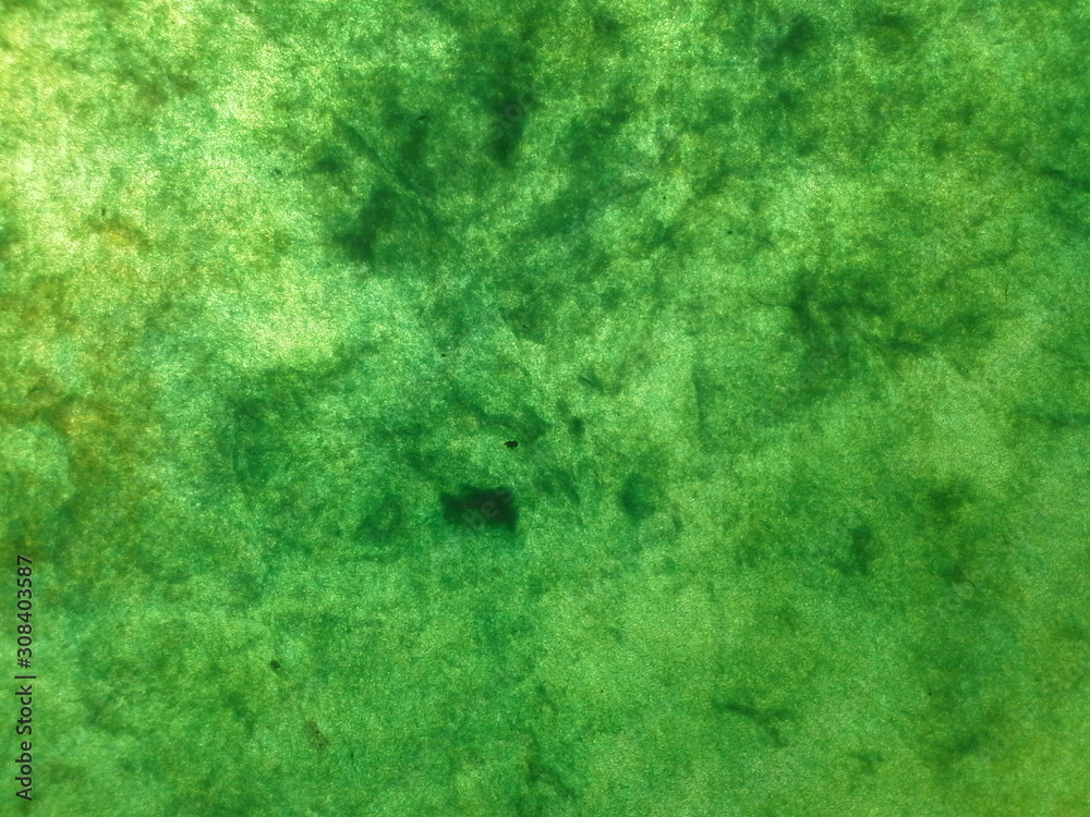 Fototapeta premium grunge background