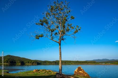 Landscape view of Mae Puem National Park photo