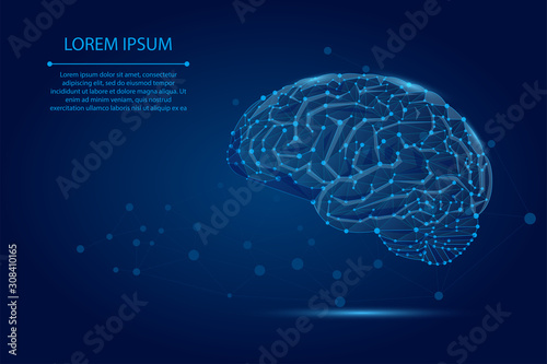Abstract mash line and point human Brain. Low poly Neural network. IQ testing, artificial intelligence virtual emulation science technology concept. Brainstorm think idea vector illustration.
