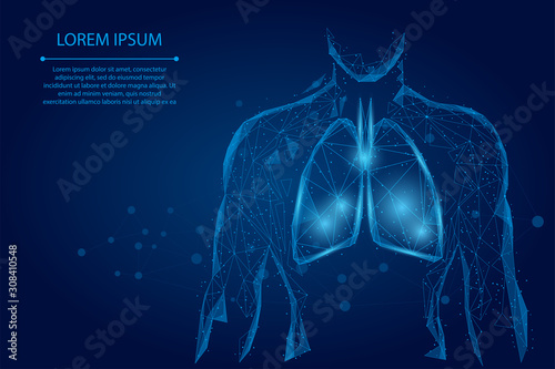 Man silhouette healthy lungs connected dots low poly wireframe. Online doctor World Tuberculosis day medicine low poly vector illustration
