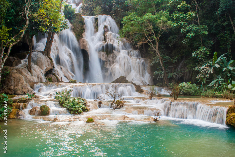 Obraz premium Piękny wodospad w zielonym głębokim lesie