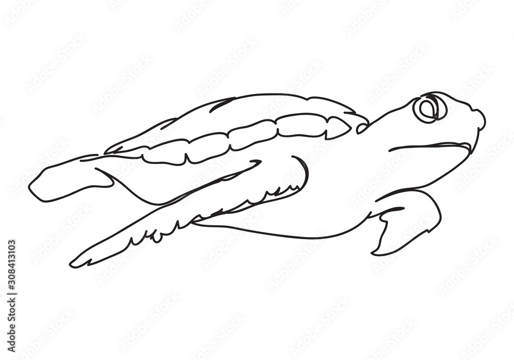 graphic sea turtle,vector illustration of sea turtle,vector of turtle design on a white background graphic sea turtle,vector illustration of sea turtle,vector of turtle design on a white background