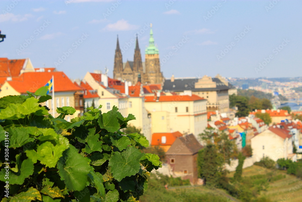 Old town houses with orange roofs against blue sky and green plants. Prague.