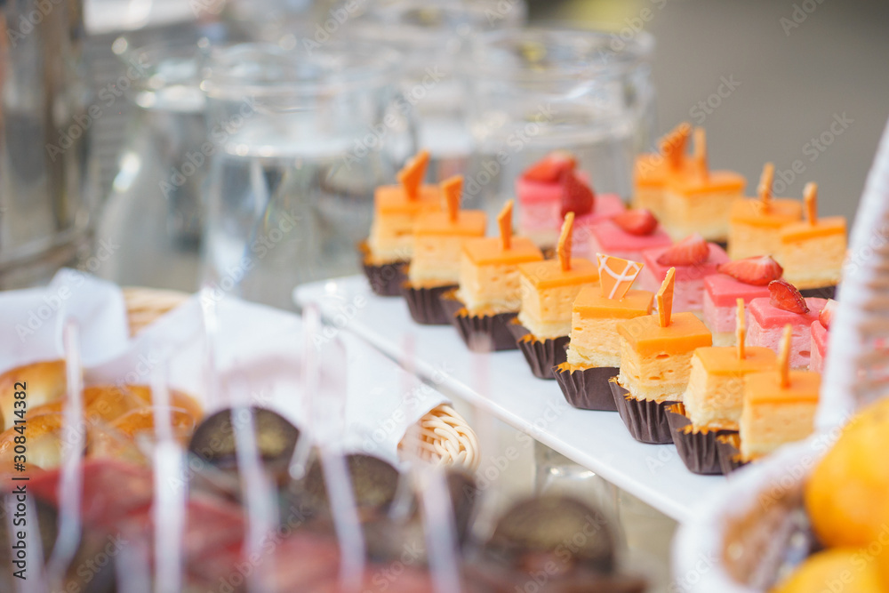 Sweet little desserts cakes in different colors on a plate prepared for the guests of the event.