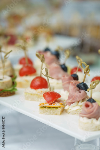 Catering and guest meals during the event. Quick mini snacks in a special beautiful dish.