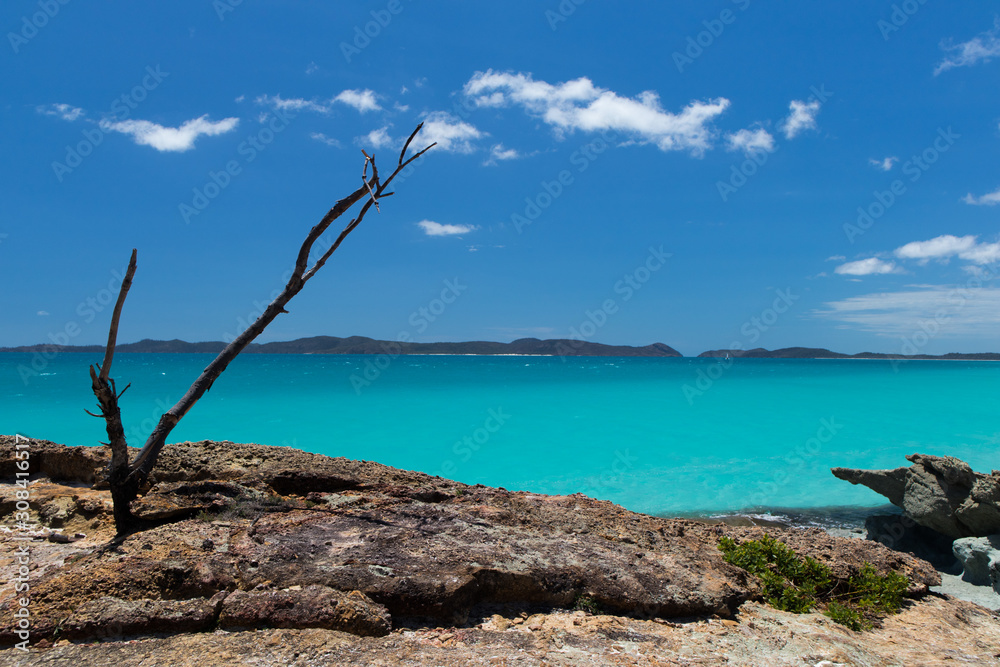 Solitary tree branch on a rock against crystal turquoise water
