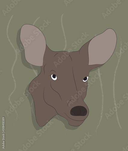 portrait of a deer on a colored background
