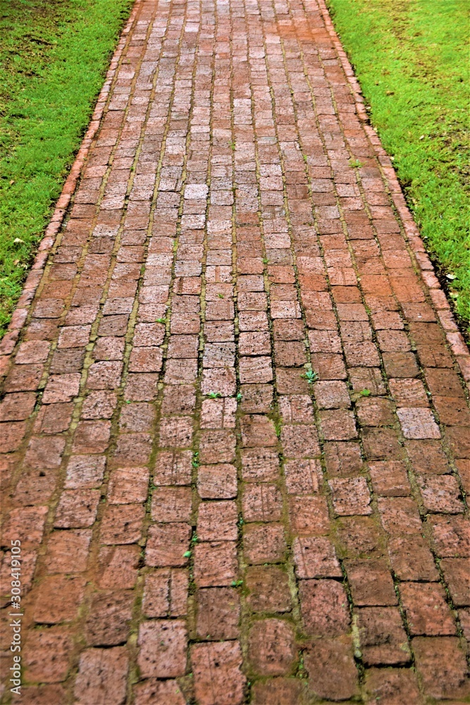 Brick path in garden detail