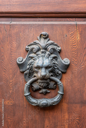 Old metal door handle in the form of a lion. Door knocker closeup background, Florence, Italy