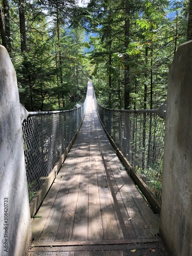 Wallpaper Mural bridge in the forest Torontodigital.ca
