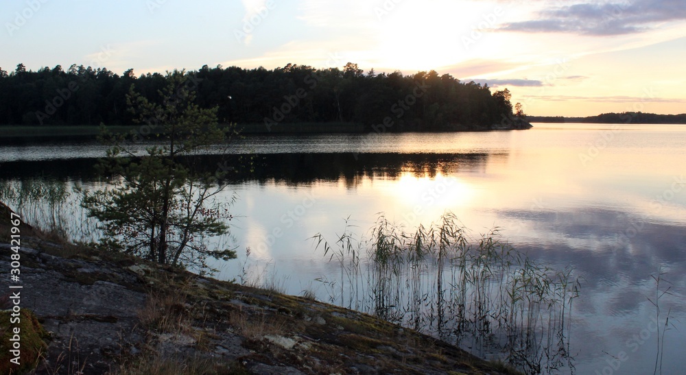 Fototapeta premium reed is reflected around calm sea