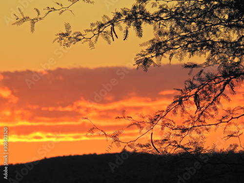 Fototapeta Naklejka Na Ścianę i Meble -  Karoo sunset