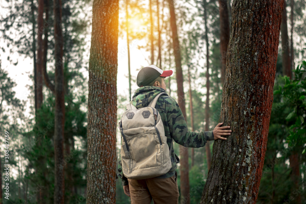 Traveler man with backpack standing near tropical jungle at sunny day