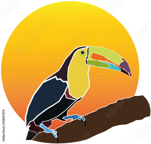 grafic toucan bird drawing, illustration of tropical bird drawing and graphic piece pattern