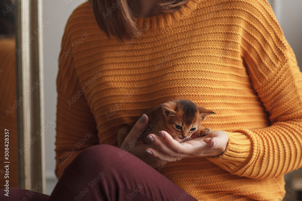 Obraz premium young woman holding a red kitten in her arms in the studio close up
