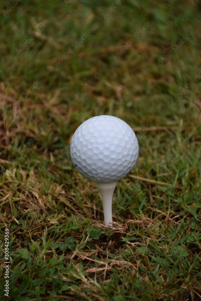 Golf ball and white tee closeup detail Golf ball and white tee closeup detail