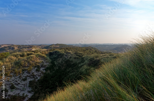 Sand dunes in the coast of Fort Mahon plage 