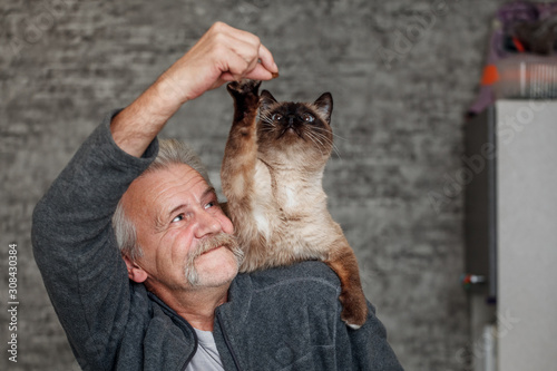 Foto Old man plays with siamese cat in the kitchen