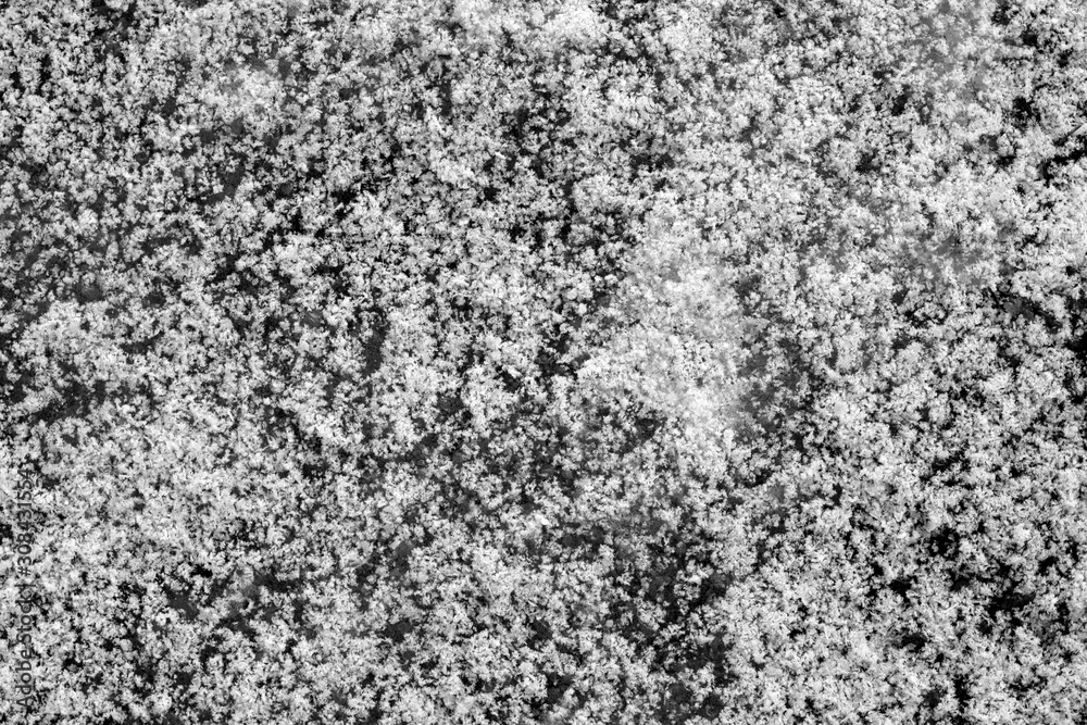 Snow and frost texture in black and white.