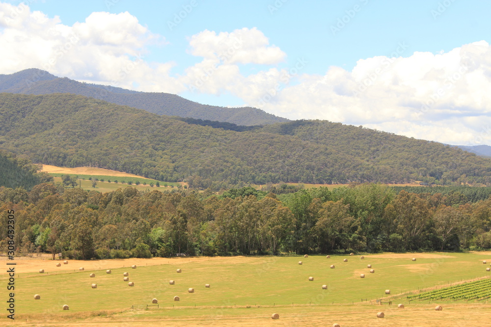 mountain and countryside landscape in Victoria, Australia