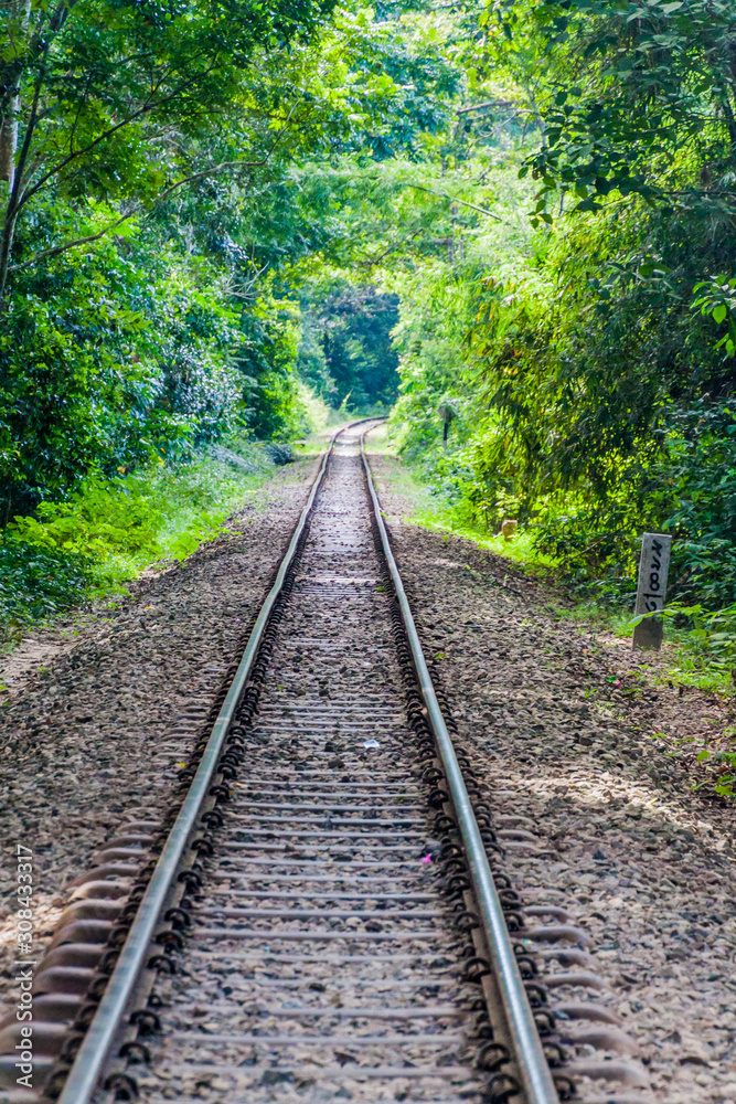 Railway tracks in Lowacherra National Park near Srimangal, Bangladesh
