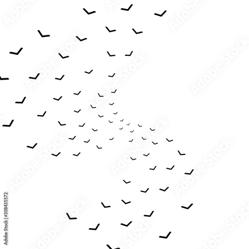 flock of birds flying in the sky