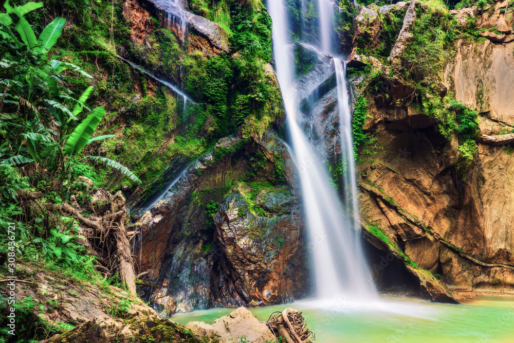 Obraz premium Scenic view of waterfall in forest