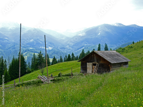 Fototapeta Naklejka Na Ścianę i Meble -  Household (farmer's barn) high on the meadow in green mountains. Picturesque summer mountain landscape with Spruce forest in the Eastern Carpathians. An old gutsul wooden architecture in highlands