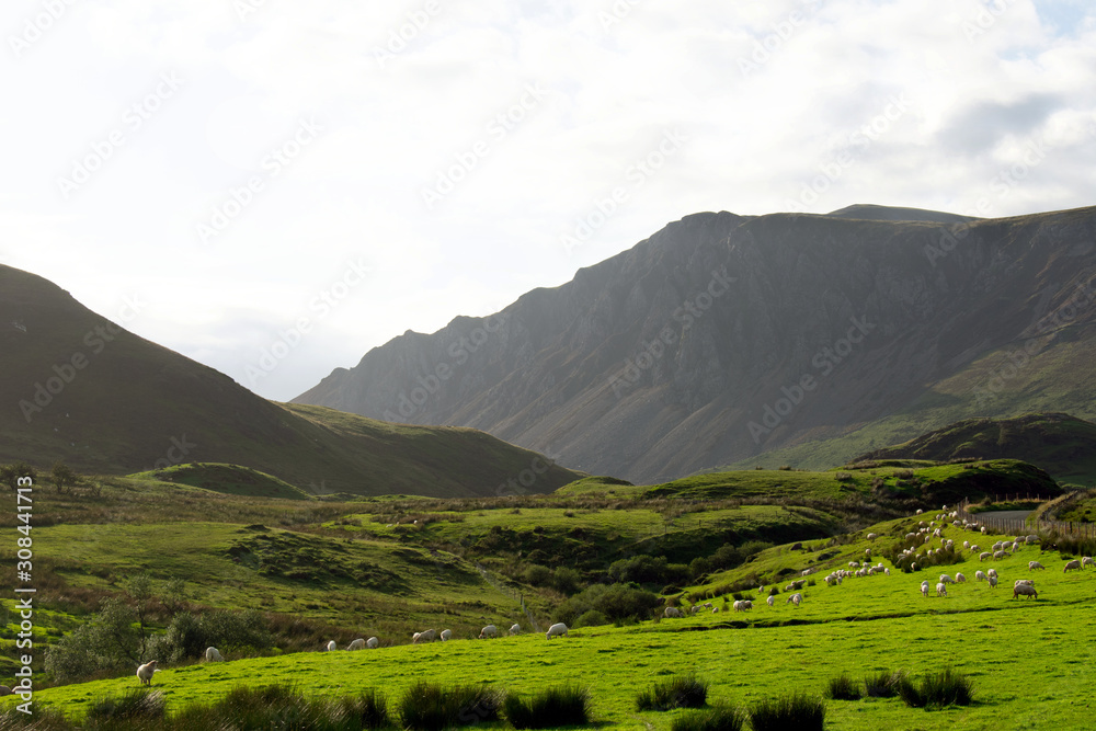 The hills and mountains of the Snowdonia national park. The lower slopes of the range, with green fields and pasture, but with steep, dramatic hillsides.  A pastoral, rural scene.