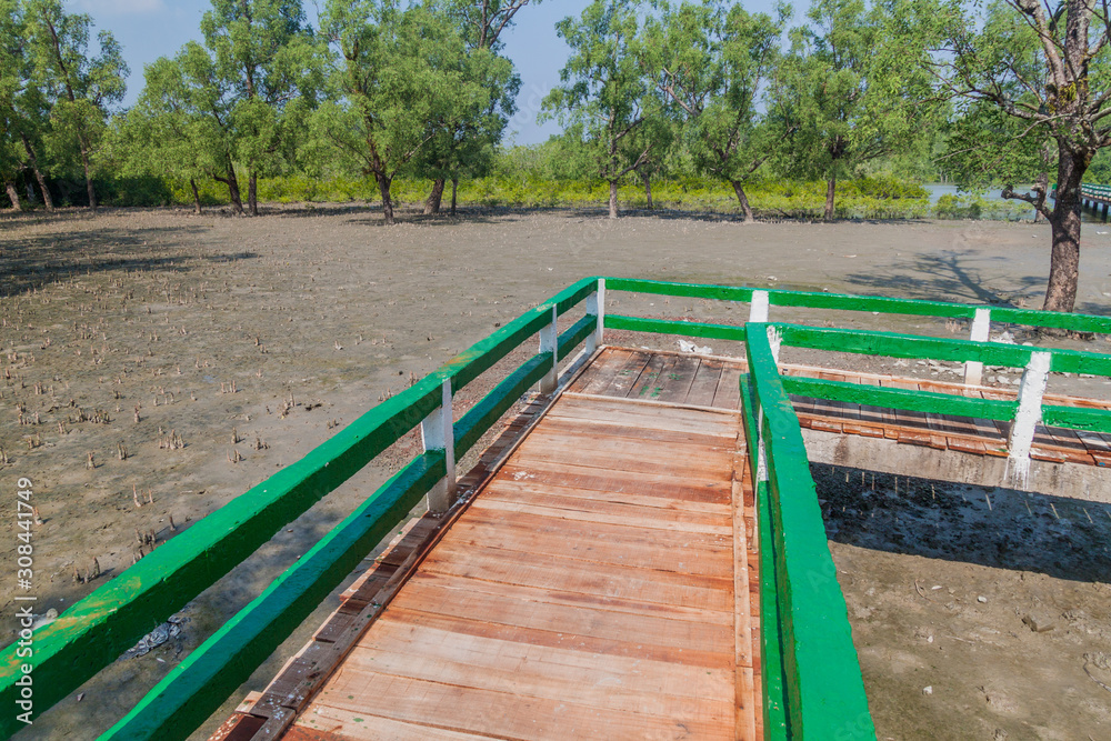 Obraz premium Boardwalk over a swampy mangrove forest at Hiron Point in Sundarbans, Bangladesh