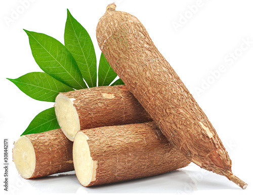 Cassava root isolated on white background photo
