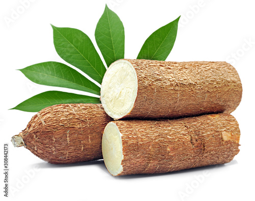 Cassava root isolated on white background