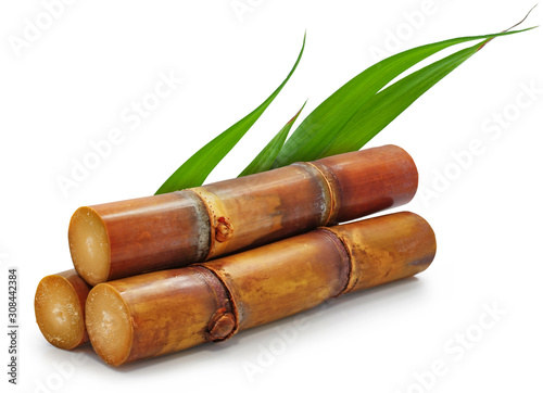 Single object of sugar cane isolated on white background