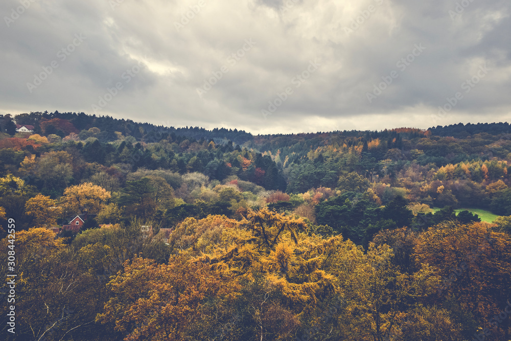 Fototapeta premium panoramic view of mountains