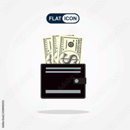 Wallet and money. Creative modern flat vector illustration