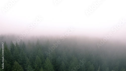 Aerial Flyback in Hazy Fog Clouds Over Pacific Northwest Wilderness Forest photo