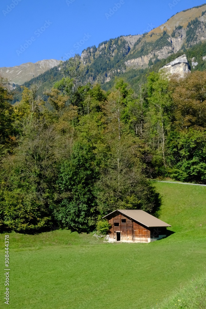Swiss wooden barn and forest, Brienz, Switzerland