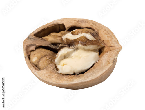 Walnut isolated. Nut kernel on white background.