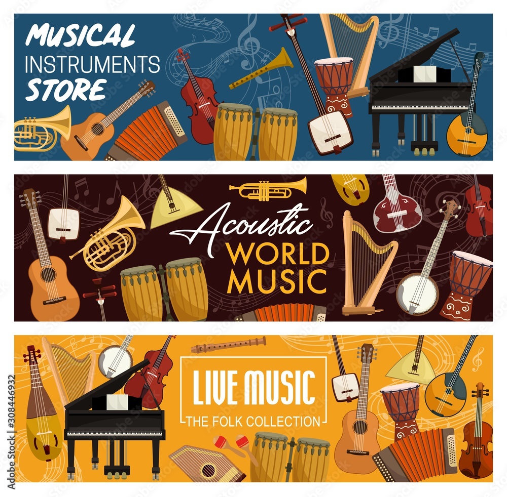 Folk instrument sale store