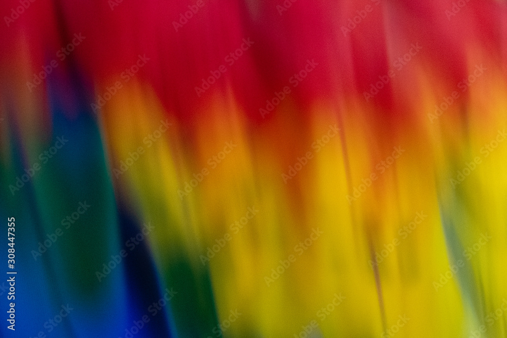 Obraz premium arara multi colorida em close com lindas penas 