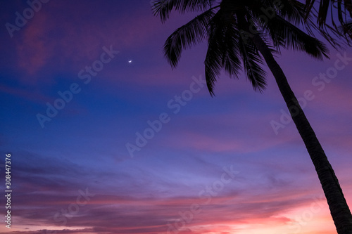 Beautiful Red and blue sunset on the background of the sea and sand and palm trees