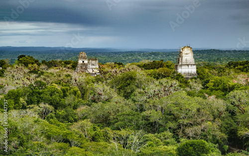 Pyramid temples in Tikal, Guatemala, an ancient Mayan city in ruins surrounded by dense jungle. © Maritxu22