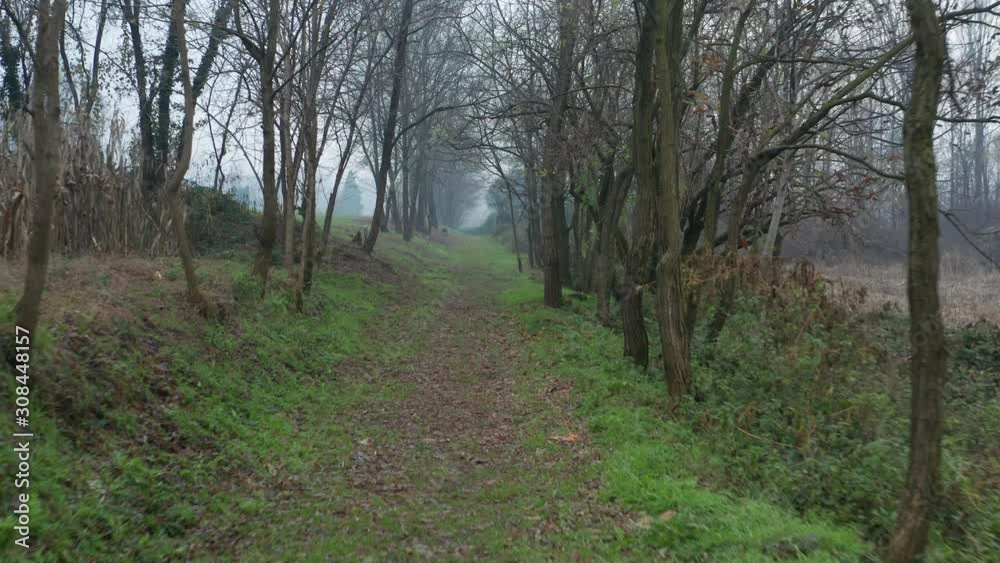 Pathway in the countryside in late fall with fog with no people Pathway in the countryside in late fall with fog with no people