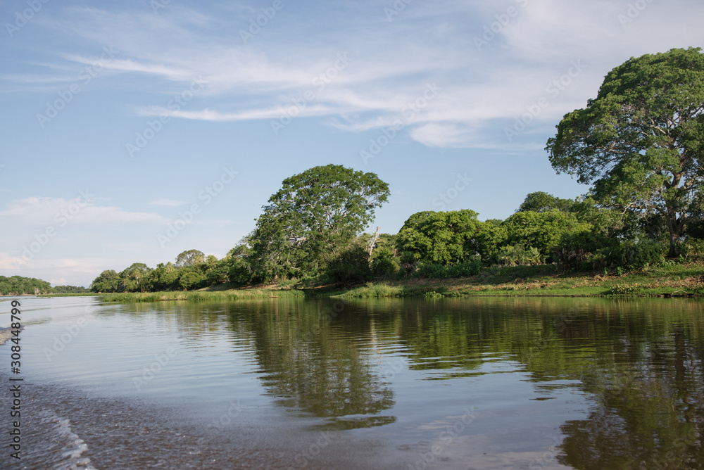Pantanal wetlands landscape in Brazil