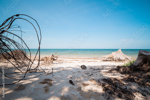 plage de holbox mexique