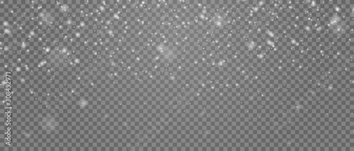 Fotografie, Obraz Vector falling snow overlay