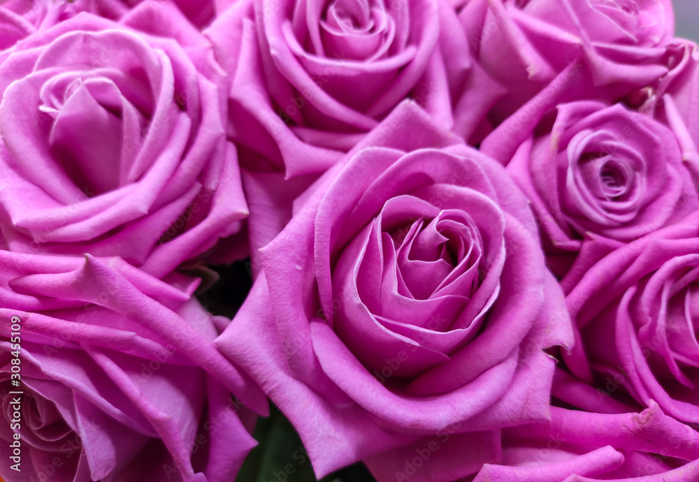 Rose Flower Decorate as Bouquet, Beautiful Texture on Floral Floor, Flowery Pattern Background